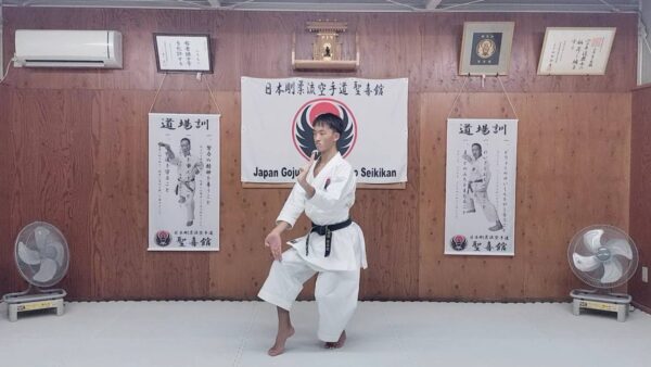 剛柔流の型 日本剛柔流空手道 聖喜館