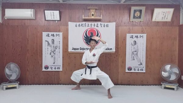 剛柔流の型 日本剛柔流空手道 聖喜館